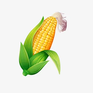 黄色玉米免抠