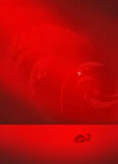 红色花瓣美容护肤产品海报背景高清