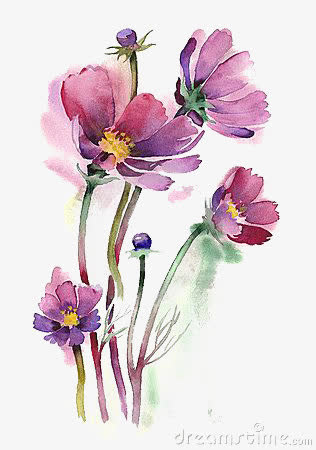 紫色花朵免抠