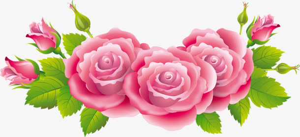 牡丹花开免抠