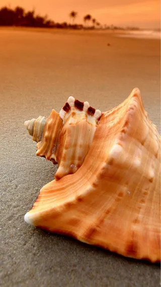 沙滩海景H5背景高清