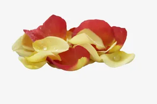 红黄花瓣堆免抠