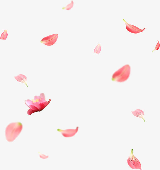 免扣桃花桃花飘免抠