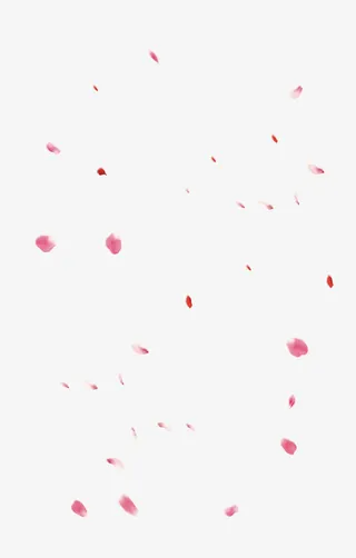 花瓣免抠