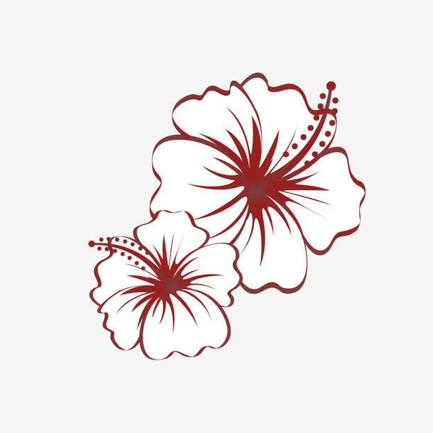 花瓣纹路图案免抠