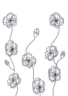 图案设计彩印花边A144免抠