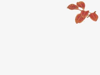 立绘古风树叶造型免抠