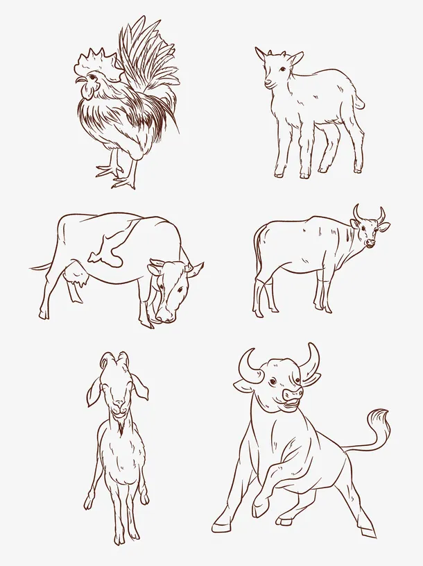 动物手绘线描免抠动植物动物元素