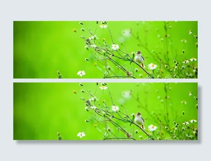 摄影树木与小鸟背景高清