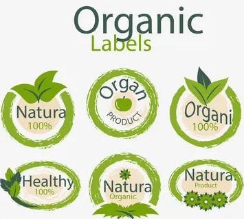 矢量手绘绿色图标免抠