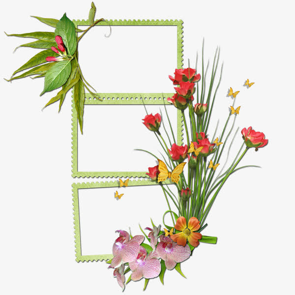 绿色花边完整边框免抠