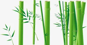 嫩绿色竹子生机竹林免抠