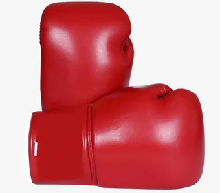 跆拳道班专用全皮手套免抠