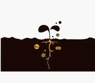 化肥里的元素在土壤空气中的作用免抠