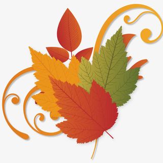 秋季植物桑叶免抠