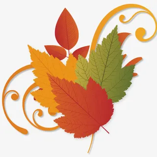 秋季植物桑叶免抠