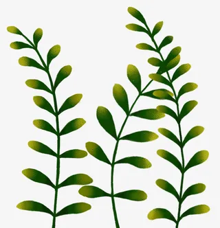 手绘绿植装饰图案免抠