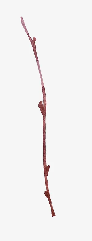 高清免抠手绘水彩花枝素材免抠