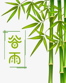 谷雨竹子元素免抠 谷雨竹子元素免抠
