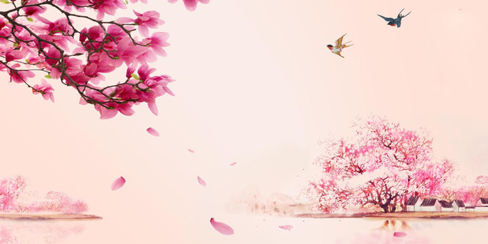 粉色桃花背景素材高清