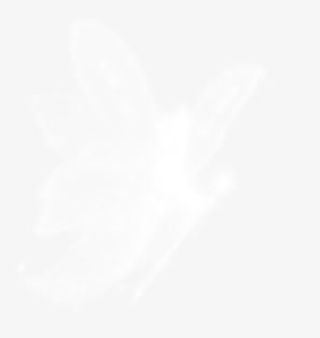 白色花仙子素材免抠