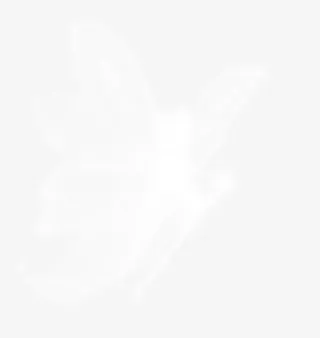 白色花仙子素材免抠