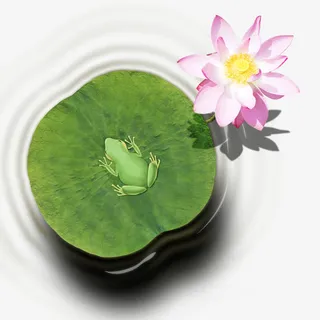 荷花荷叶青蛙免抠