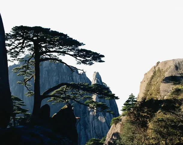 黄山风景迎客松免抠