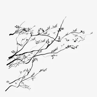 墙角数枝梅免抠