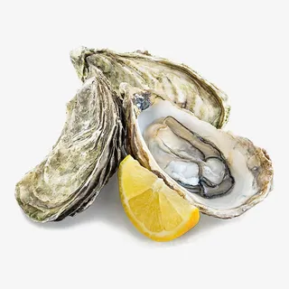 海蛎子免抠素材免抠