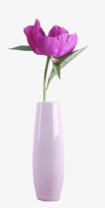 花瓶里的小红花免抠
