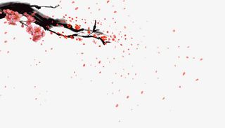 飘落梅花免抠
