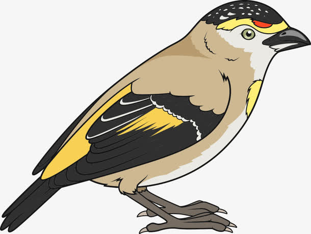 矢量树枝与卡通可爱小鸟免抠