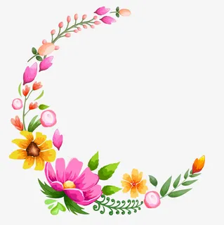 美丽的花边免抠 美丽的花边免抠
