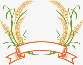 手绘小麦徽章海报免抠