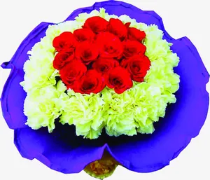 温馨节日康乃馨花束免抠