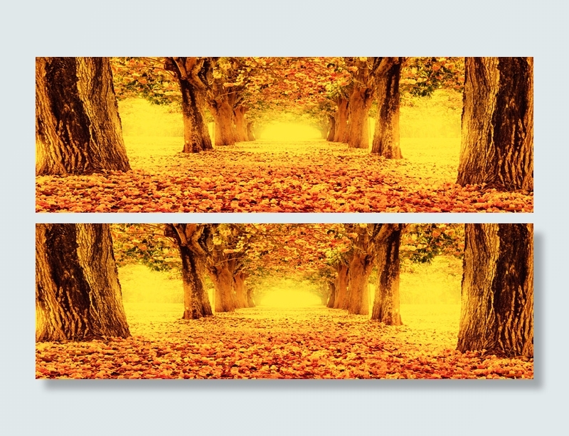 金色大道背景高清