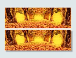 金色大道背景高清