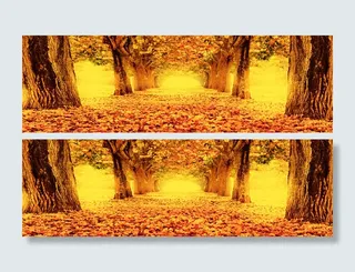 金色大道背景高清