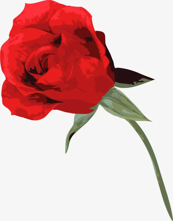 春暖花开美丽红色玫瑰花免抠