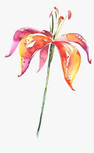 紫红水彩画花插画免抠