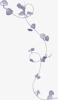 透明树叶图片素材树叶花边元素免抠