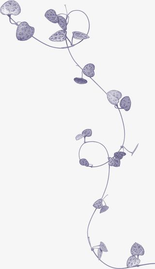 透明树叶图片素材树叶花边元素免抠