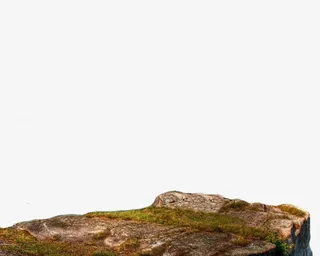 石头 小草png素材免抠