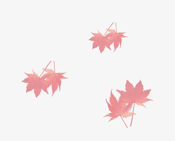 枫叶彩绘免抠