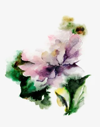 水彩晕染花卉免抠