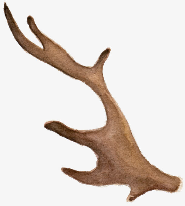 树叶底纹元素透明树叶图片素材免抠