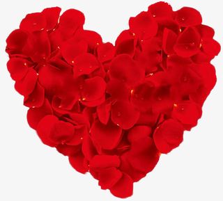 花瓣爱心元素免抠