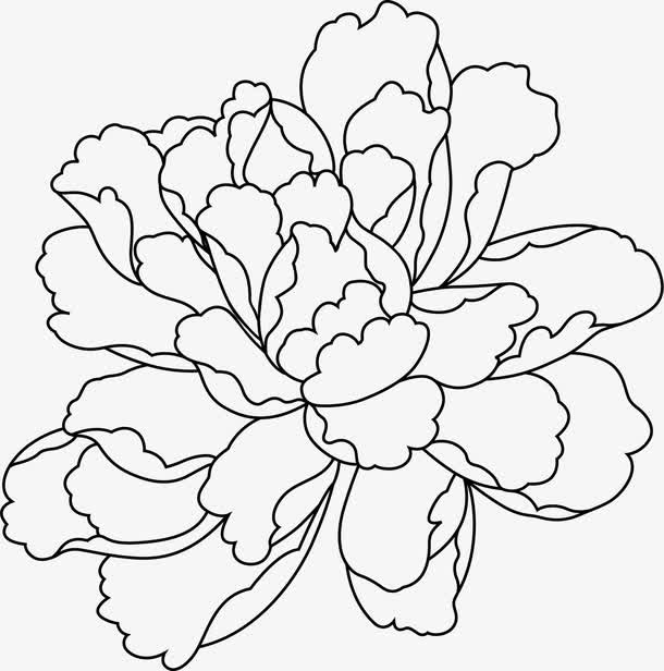 黑色手绘线条牡丹花中秋免抠