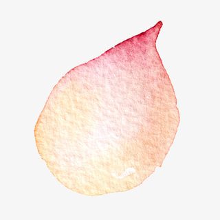 高清免抠手绘水彩花瓣素材免抠